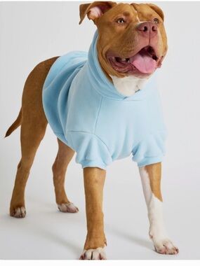 Pastel Paw Hoodie - Sky Blue Dog Sweatshirt
